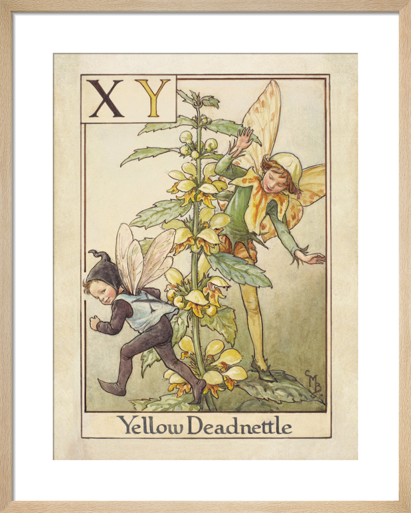 Yellow Deadnettle Fairy