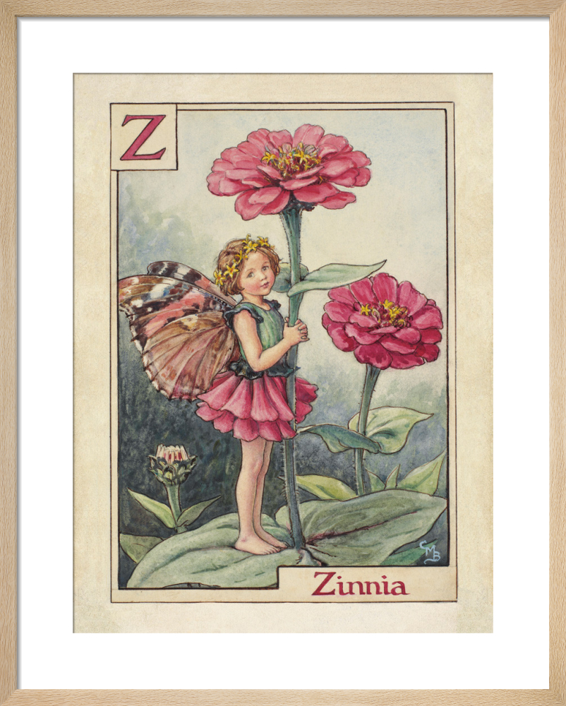 Zinnia Fairy