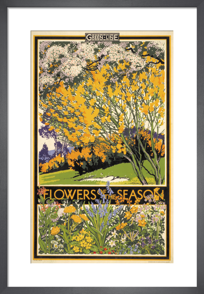 Flowers of the season, 1933