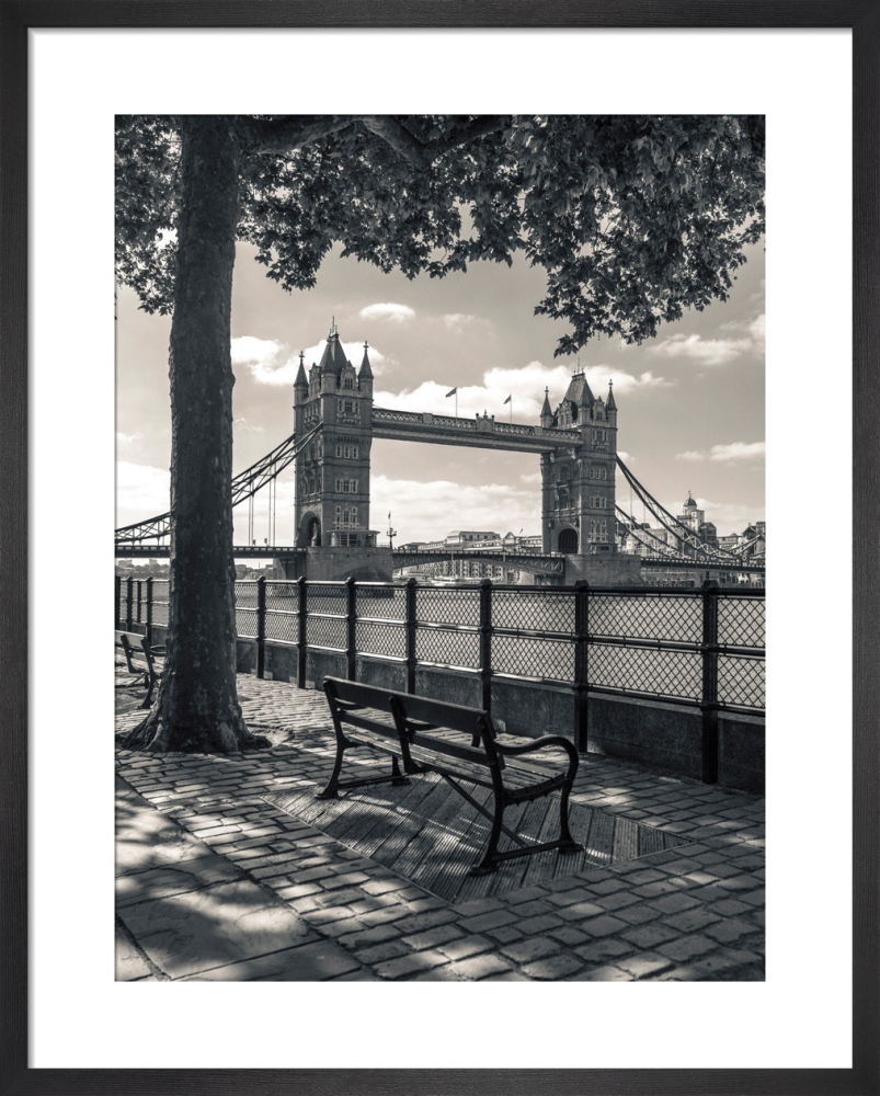 Tower Bridge and Bench