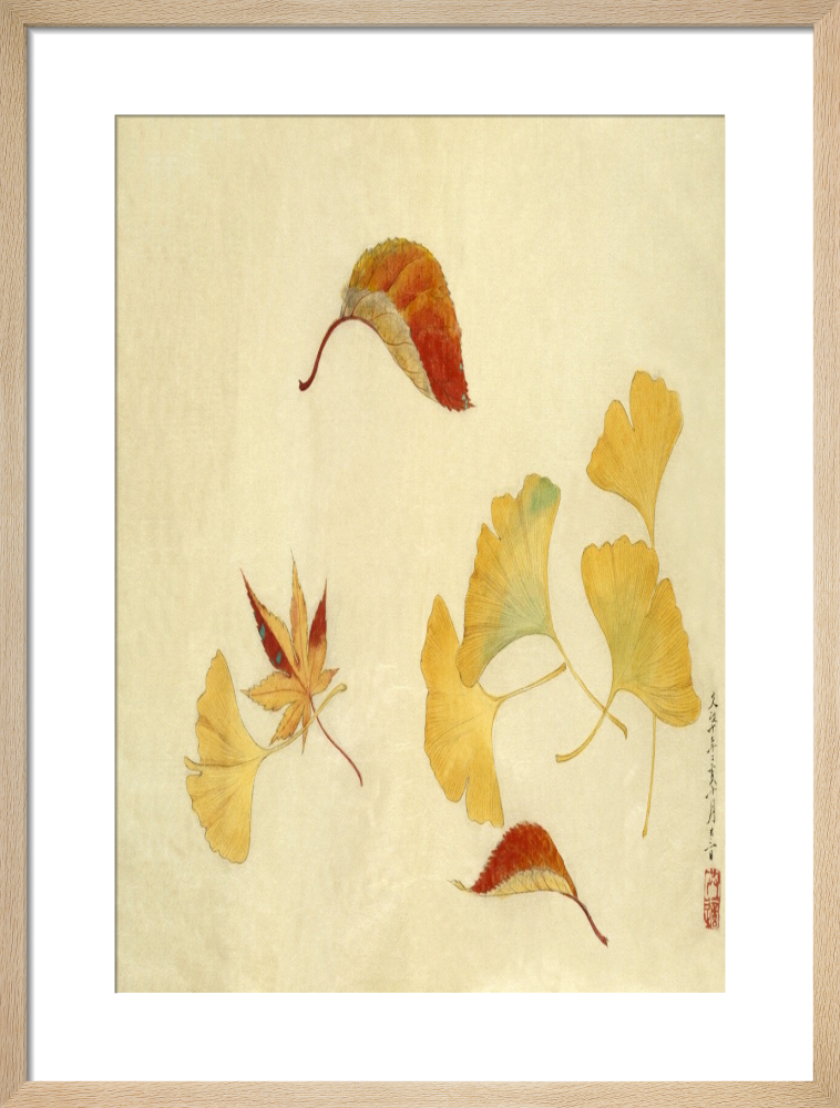 Autumnal red and yellow leaves