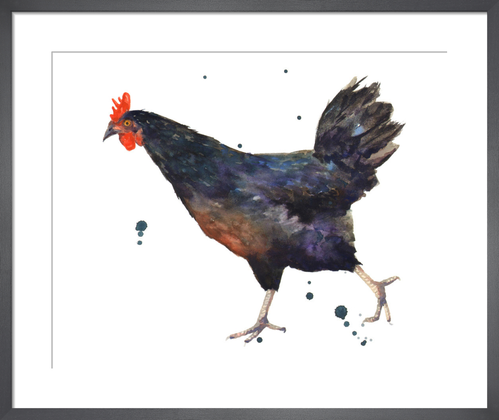 Black Hen