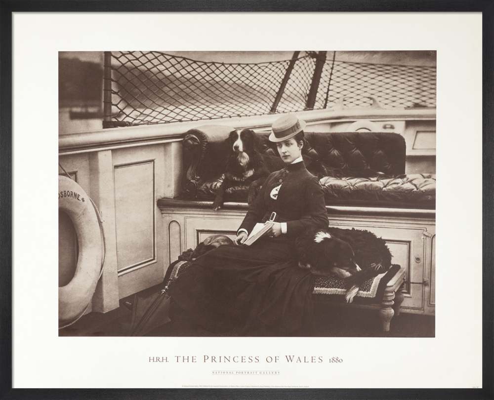 HRH The Princess of Wales, 1880