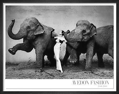 Dovima with elephants, 1955 by Richard Avedon