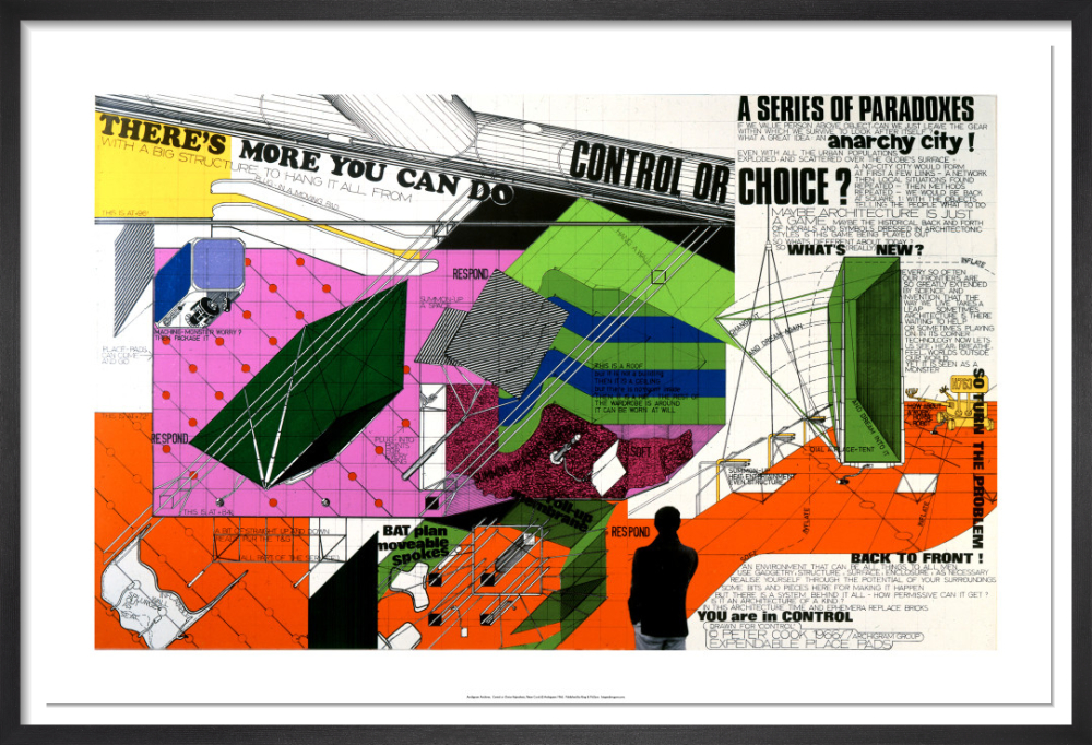 Control or Choice Hypothesis