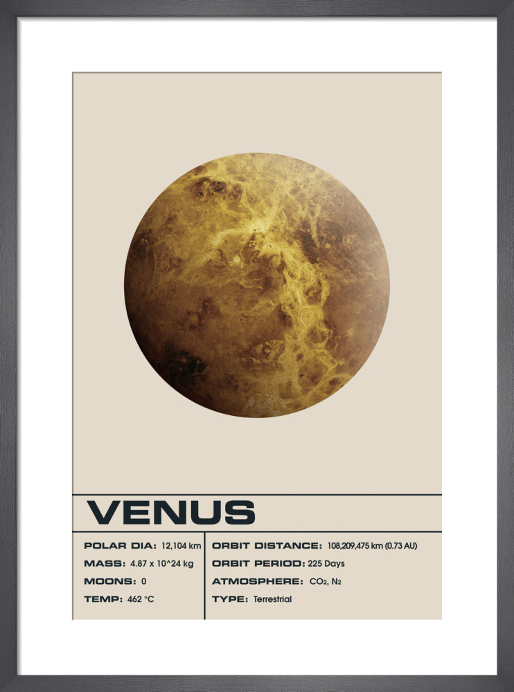 Venus Light
