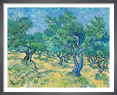 Olive Grove, 1889 by Vincent Van Gogh