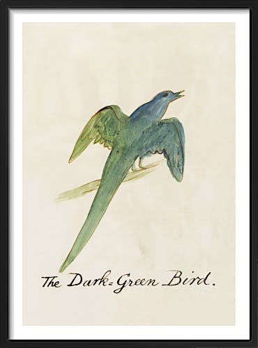 The Dark Green Bird by Edward Lear