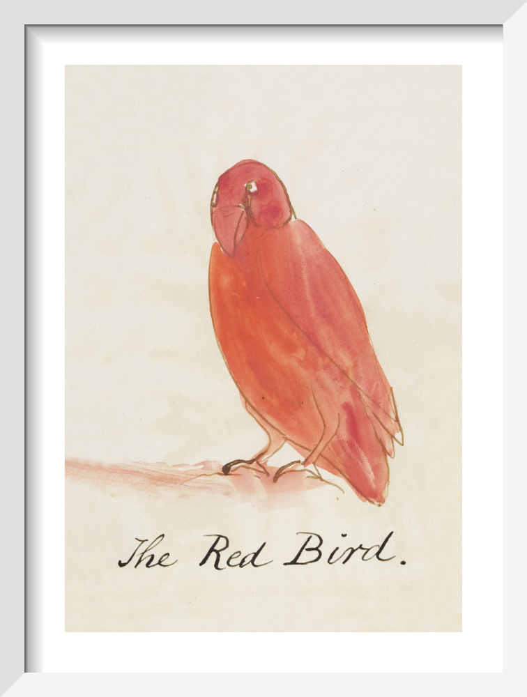 The Red Bird