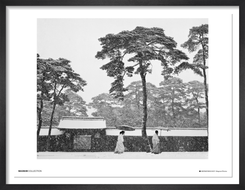 Courtyard of the Meiji Shrine in Tokyo, Japan, 1951