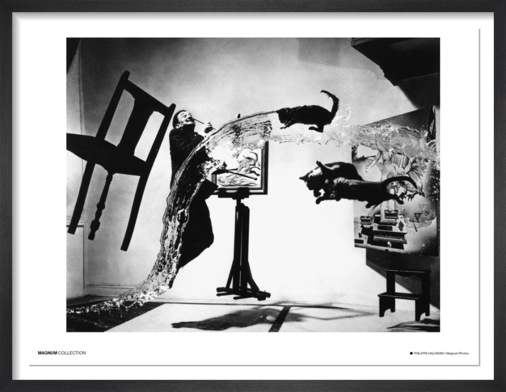 Dali Atomicus, 1948