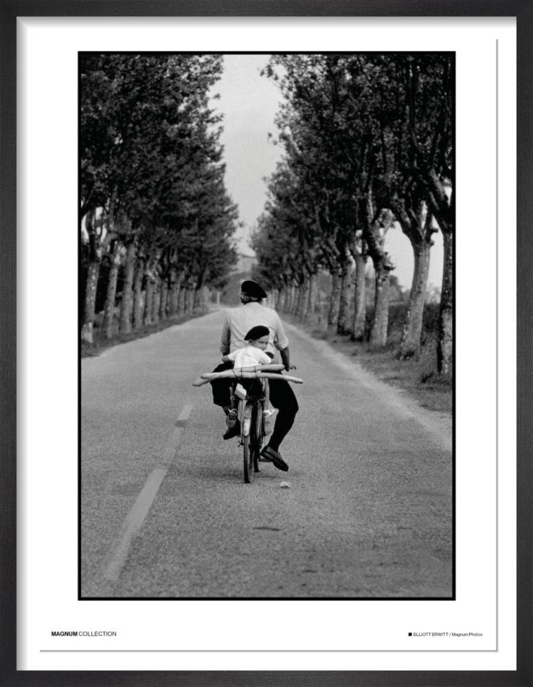 Provence. France, 1955