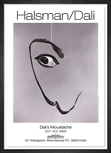 Dali's Moustache by Philippe Halsman