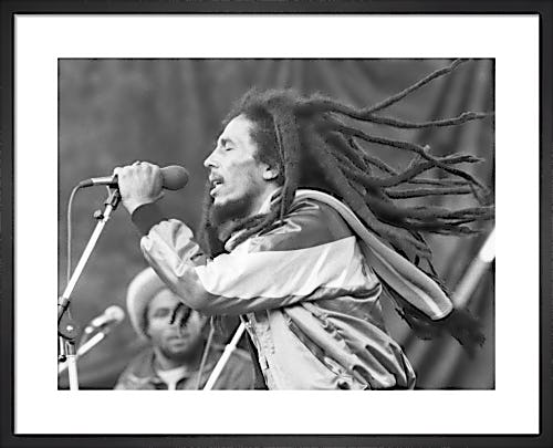 Bob Marley in Concert, 1981 by Unknown photographer