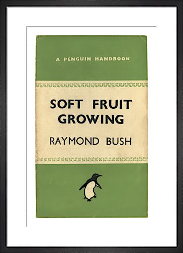 Soft Fruit Growing by Penguin Books