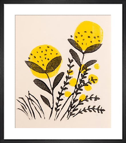 Yellow Tansy by Fiona Howard