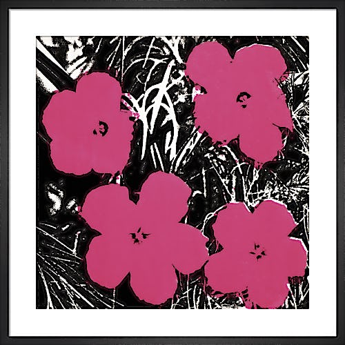 Flowers, 1965 (hot pink) by Andy Warhol