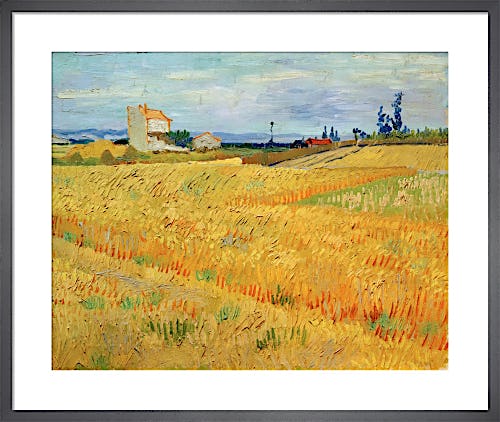 Wheat Field, 1888 by Vincent Van Gogh