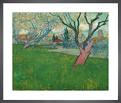 Orchards in Blossom, View of Arles, 1889 by Vincent Van Gogh