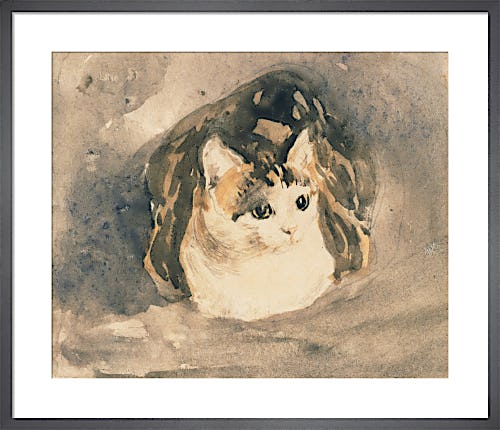 Cat, c.1904-8 by Gwen John