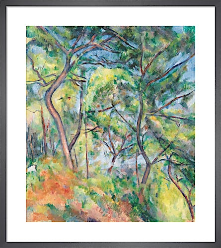 Sous-Bois, 1894 by Paul Cézanne