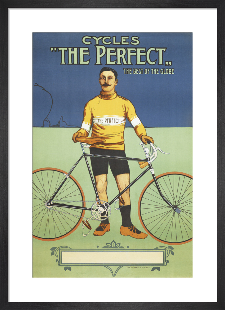 'The Perfect' Bicycle, 1895