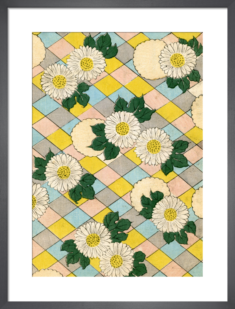 Chrysanthemum Blossoms, 1882