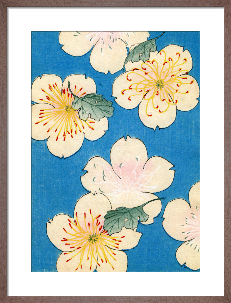 Dogwood Blossoms on Blue, 1882