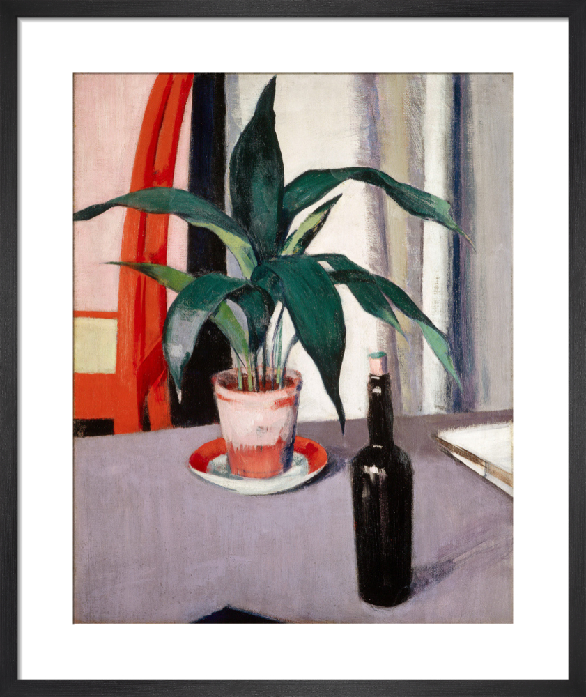 Aspidistra and Bottle on Table