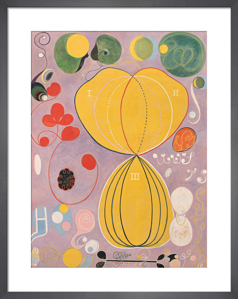 The Ten Largest, No. 7, Adulthood, Group IV, 1907