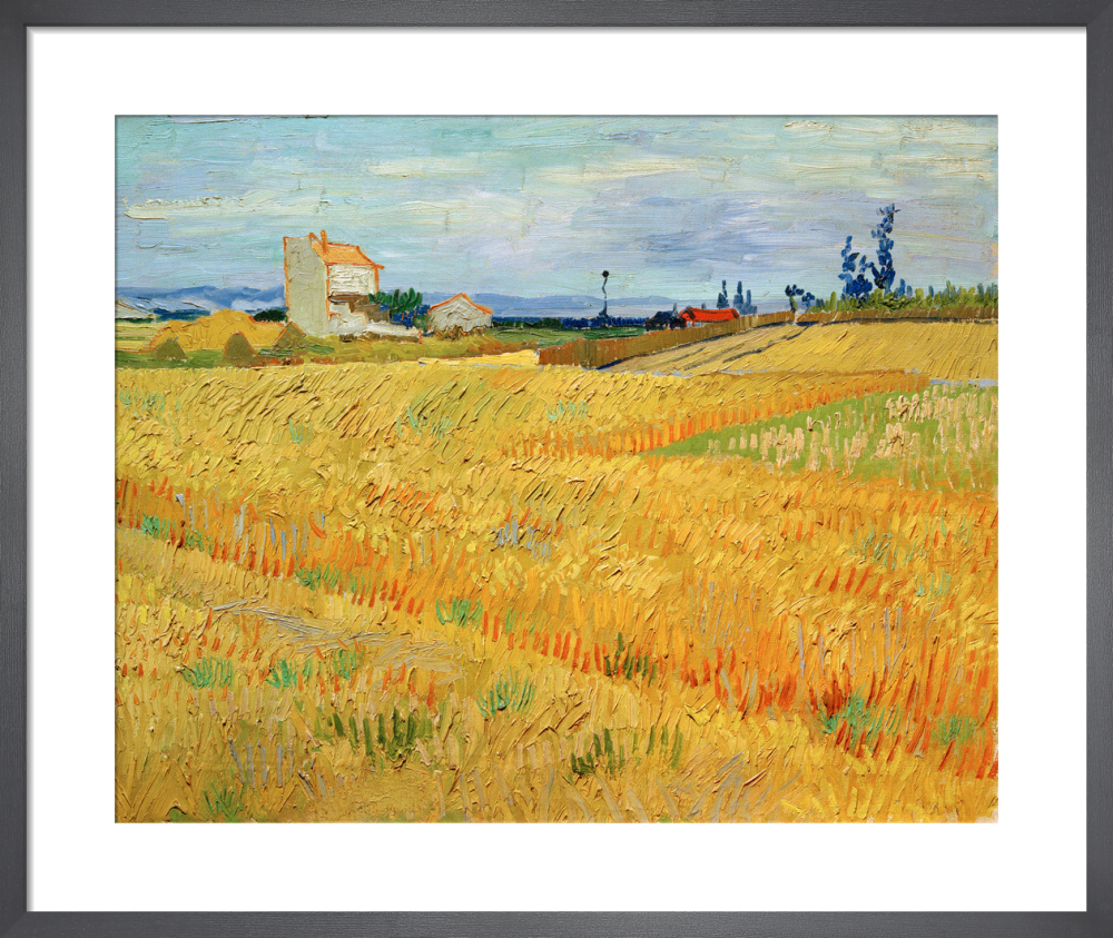 Wheat Field, 1888