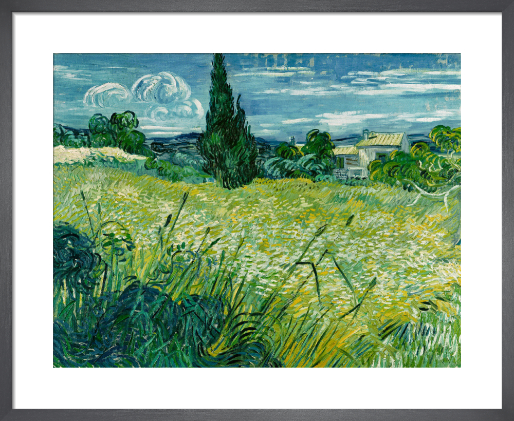 Green Wheat-field with Cypress, Saint-Remy, 1889