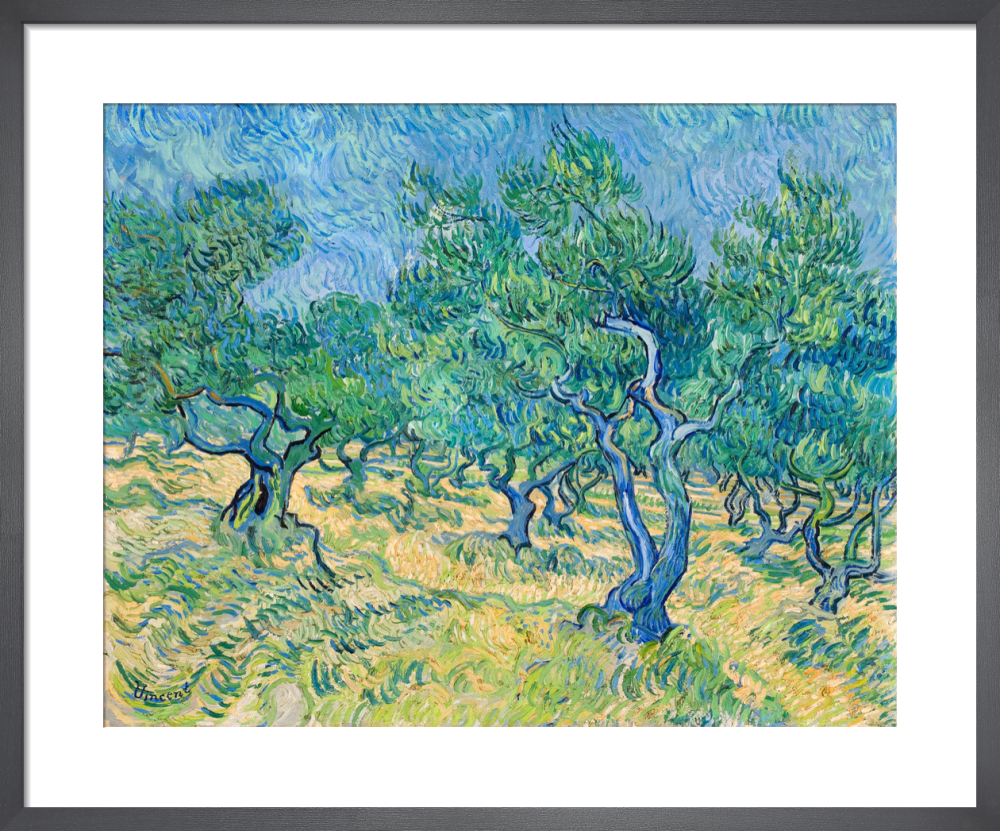 Olive Grove, 1889