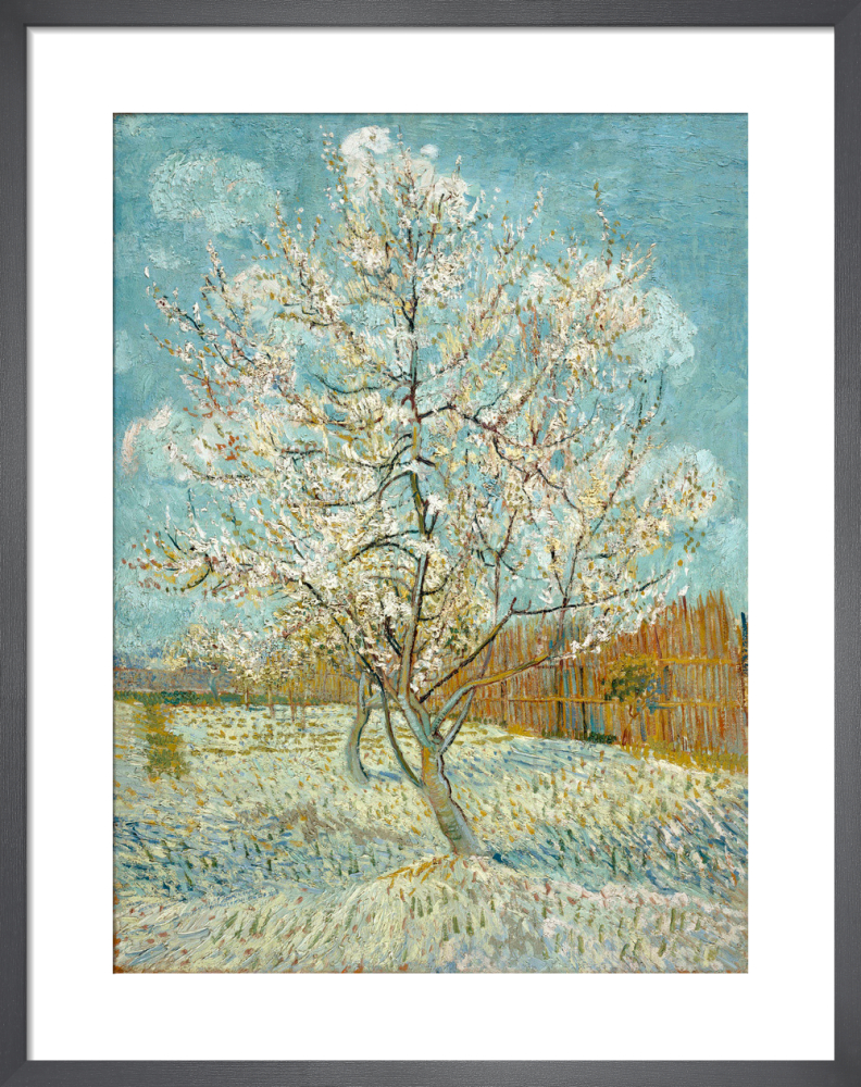 Vincent Van Gogh Art Prints and Posters | King & McGaw