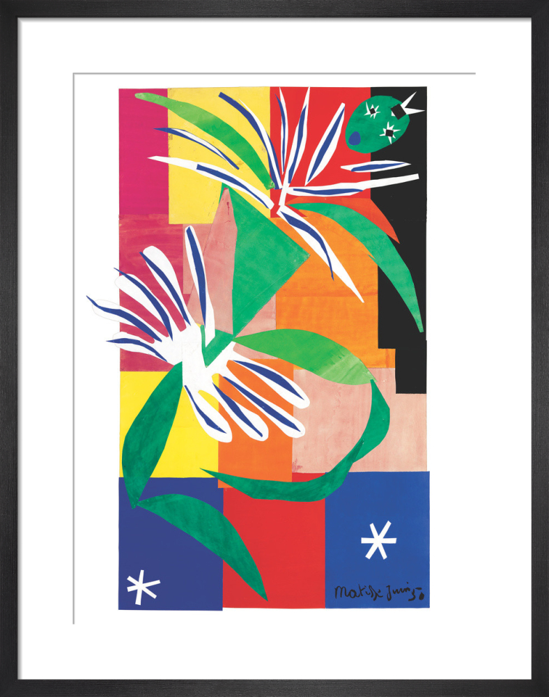 Henri Matisse Art Prints and Posters King McGaw