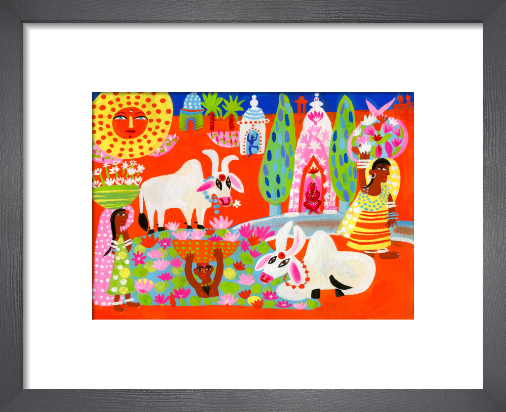 Lotus flower farm in Rajasthan