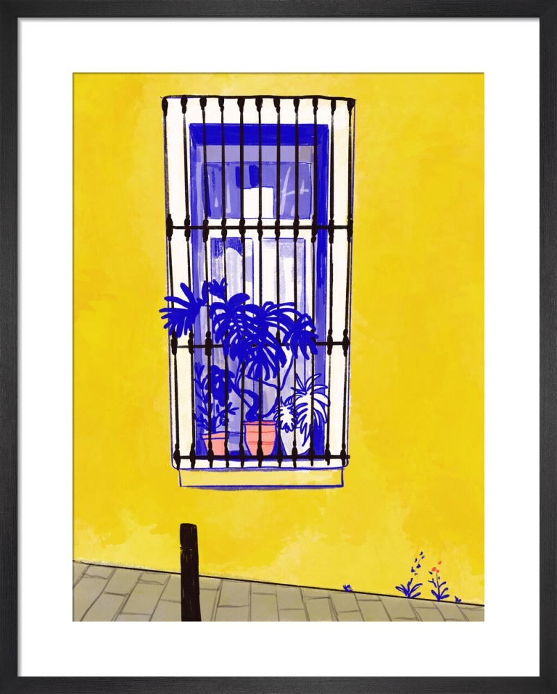 Window in Barcelona with Monstera