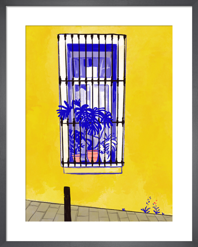 Window in Barcelona with Monstera