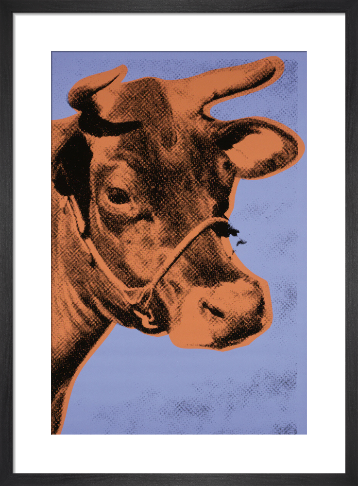 Cow, 1971 (purple & orange)