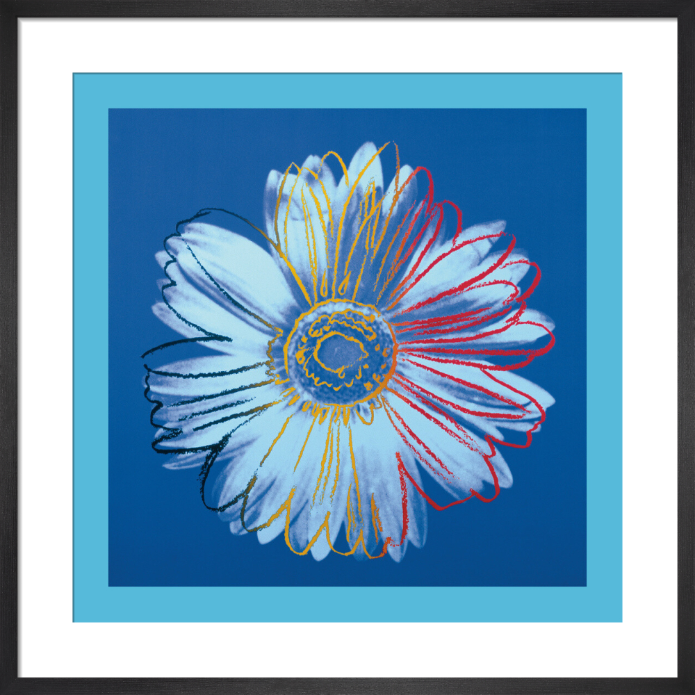 Daisy, c. 1982 (blue on blue)