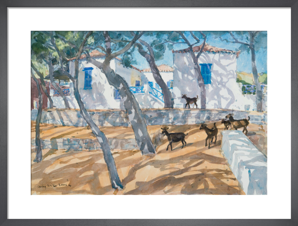 Down from the Hills, Cyclades, Greece