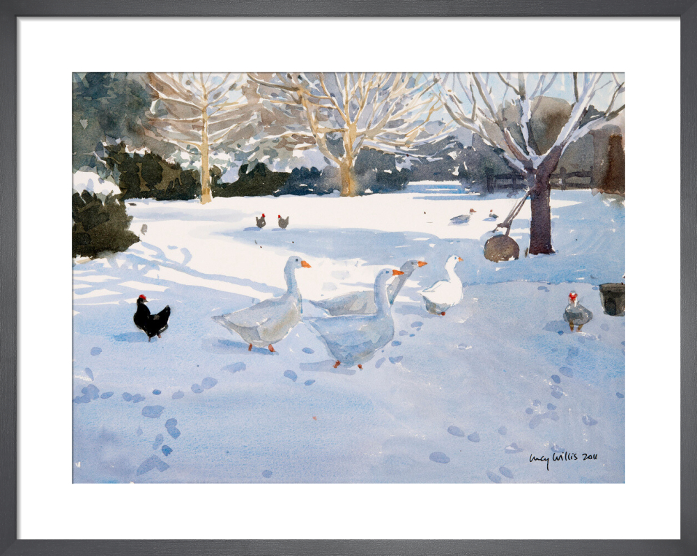 Geese In The Snow, Somerset
