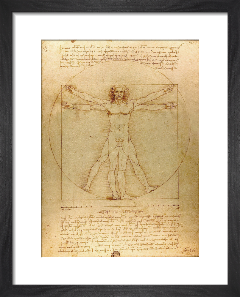 Vitruvian Man