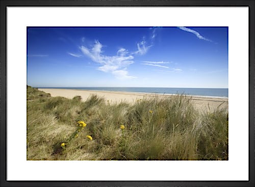 Norfolk Dunes by Richard Osbourne