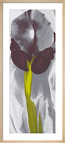 Dark Iris 1927 by Georgia O'Keeffe
