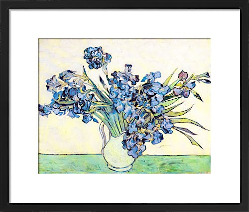 Irises by Vincent Van Gogh
