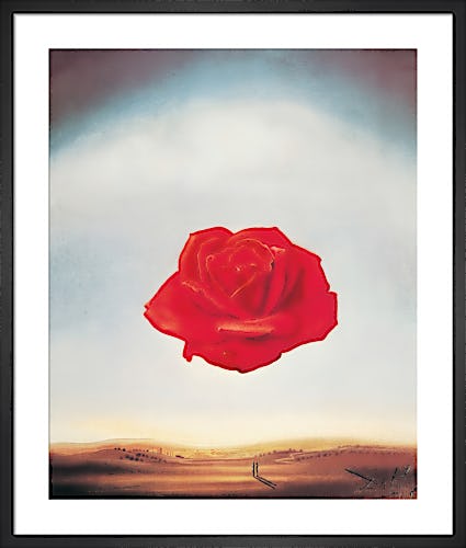 The Meditative Rose by Salvador Dali